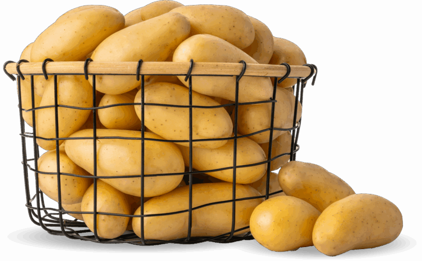 Panier de Princesse Amandine